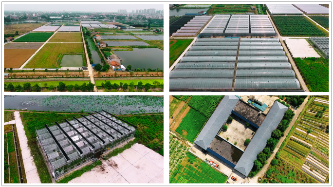 现代化农业基地航拍