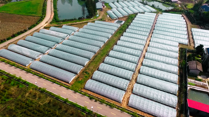 现代化农业基地航拍