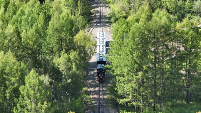 莫尔道嘎森林公园小火车