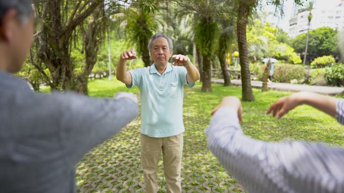 公园里的太极课公园草地老人带学生打太极拳