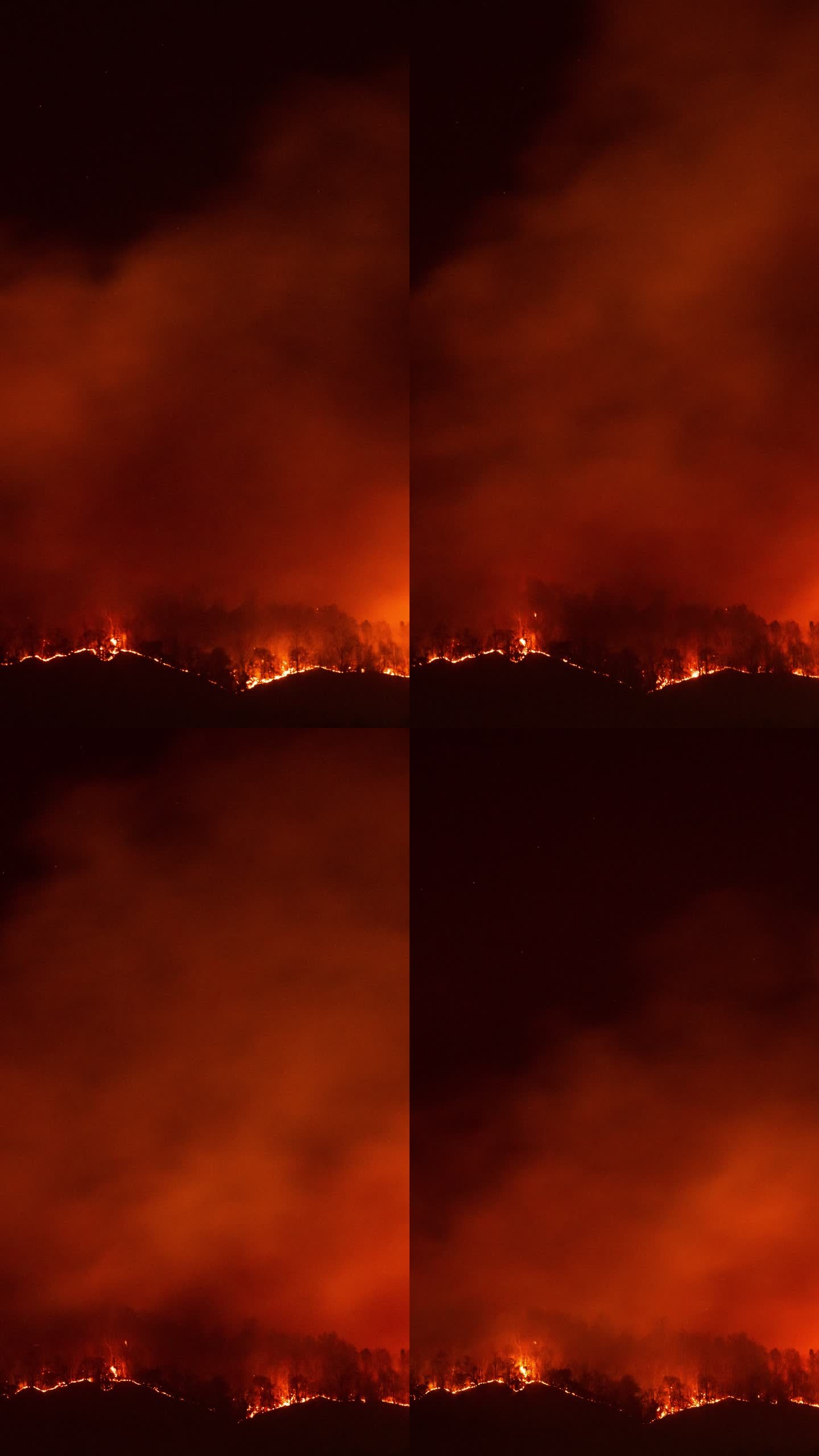 火灾森林夜间野火森林大火环境破坏火焰浓烟