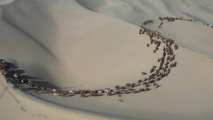 驼队 丝路 沙漠 穿越沙海的骆驼  驼铃