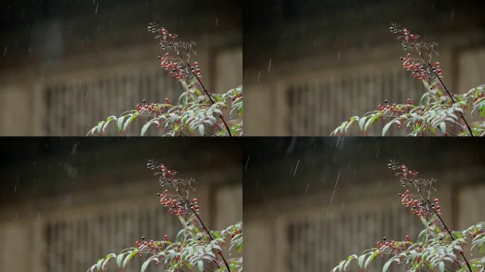 烟雨江南下雨雨季情绪意境空境