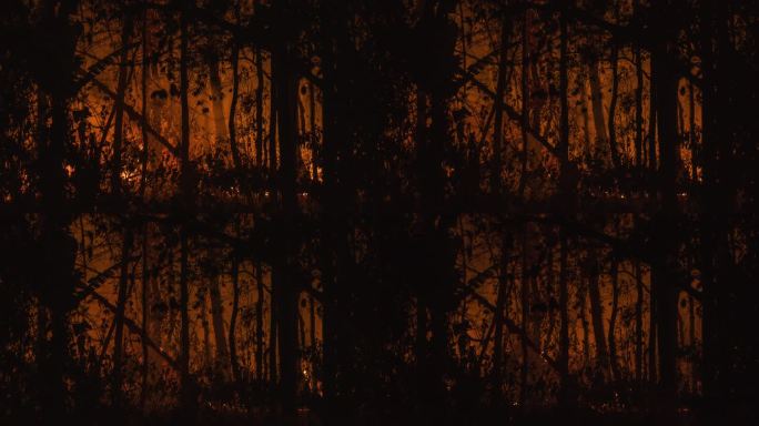 森林大火慢慢燃尽的时间流逝