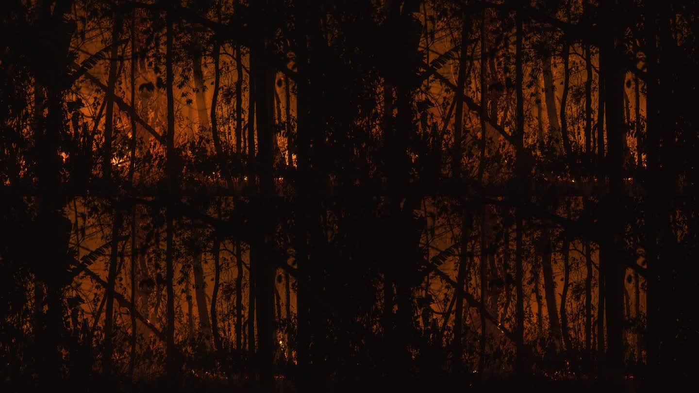 森林大火慢慢燃尽的时间流逝