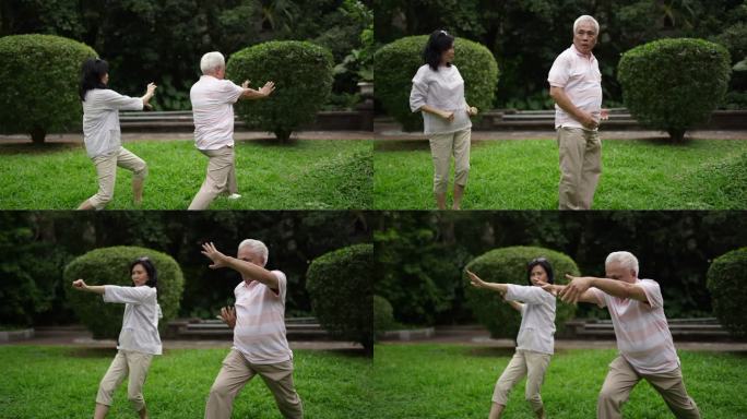 台湾夫妇在公园练习