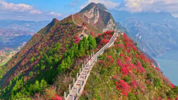 大气巫峡红叶