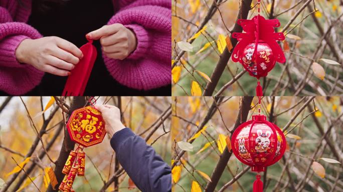 兔年元旦春节挂灯笼