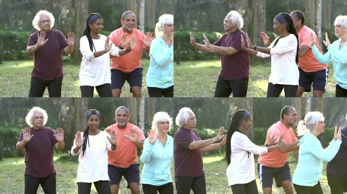 多民族老年人在公园打太极