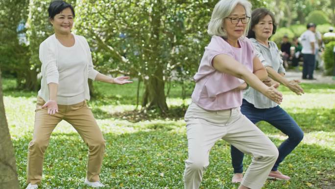 中国退休妇女在公共公园打太极