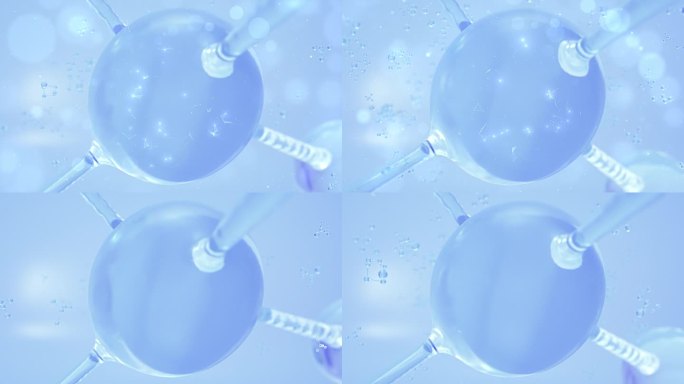 生物基因分子结构 实验化学遗传 细胞核