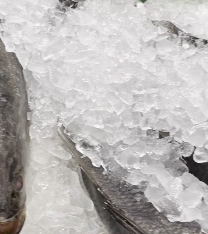 冰上鲜鱼生鲜冻品保鲜