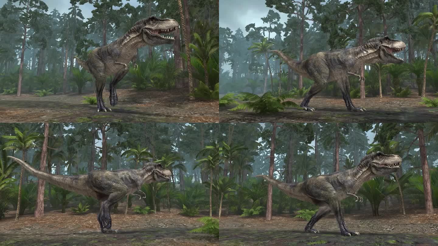 恐龙 霸王龙 侏罗纪 白垩纪 三叠纪动画