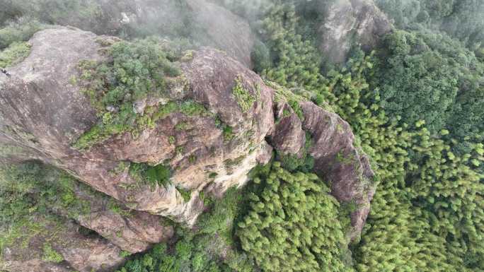 航拍浙江竹山竹林竹海岩石石柱云雾雨后自然