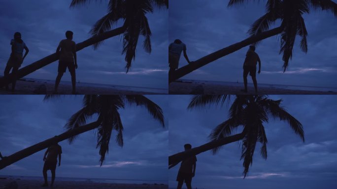 一个亚洲男孩在日出前帮助妹妹爬上海滩上的椰子树，这是一种生活方式。