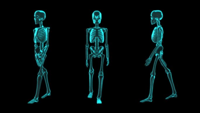 人体骨骼医疗科技视频元素骨架行走科学动画