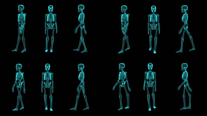人体骨骼医疗科技视频元素骨架行走科学动画