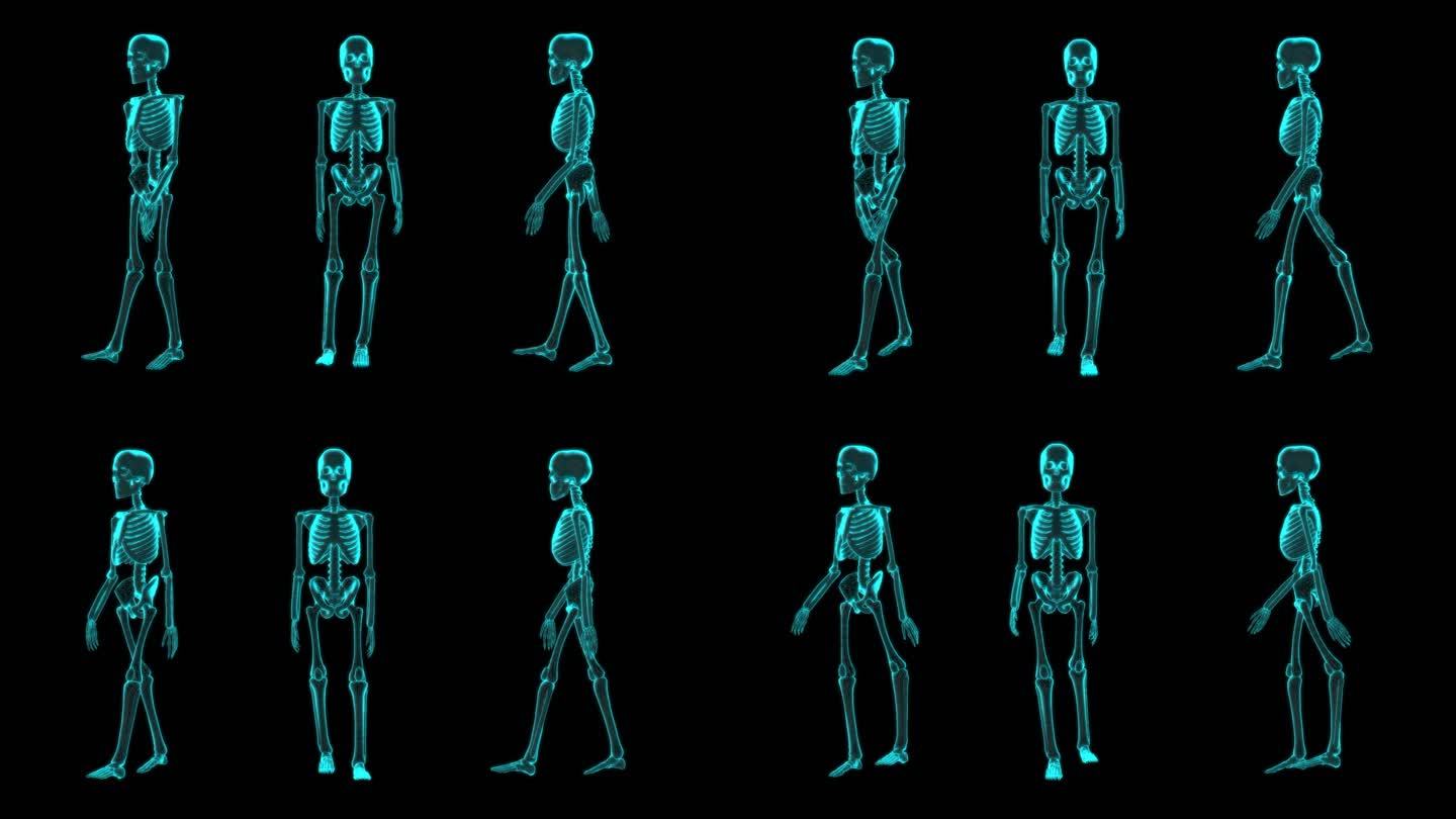 人体骨骼医疗科技视频元素骨架行走科学动画