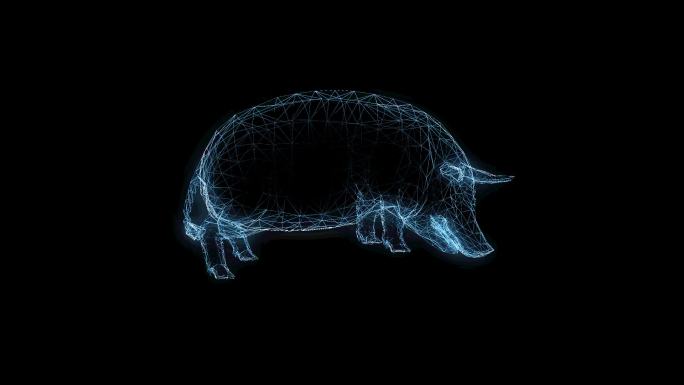 透视全息猪动画透明通道素材