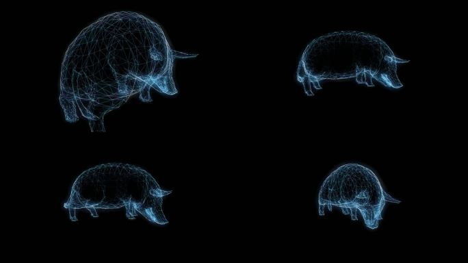 透视全息猪动画透明通道素材