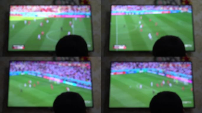 电视前观看足球比赛，球赛，观看电视