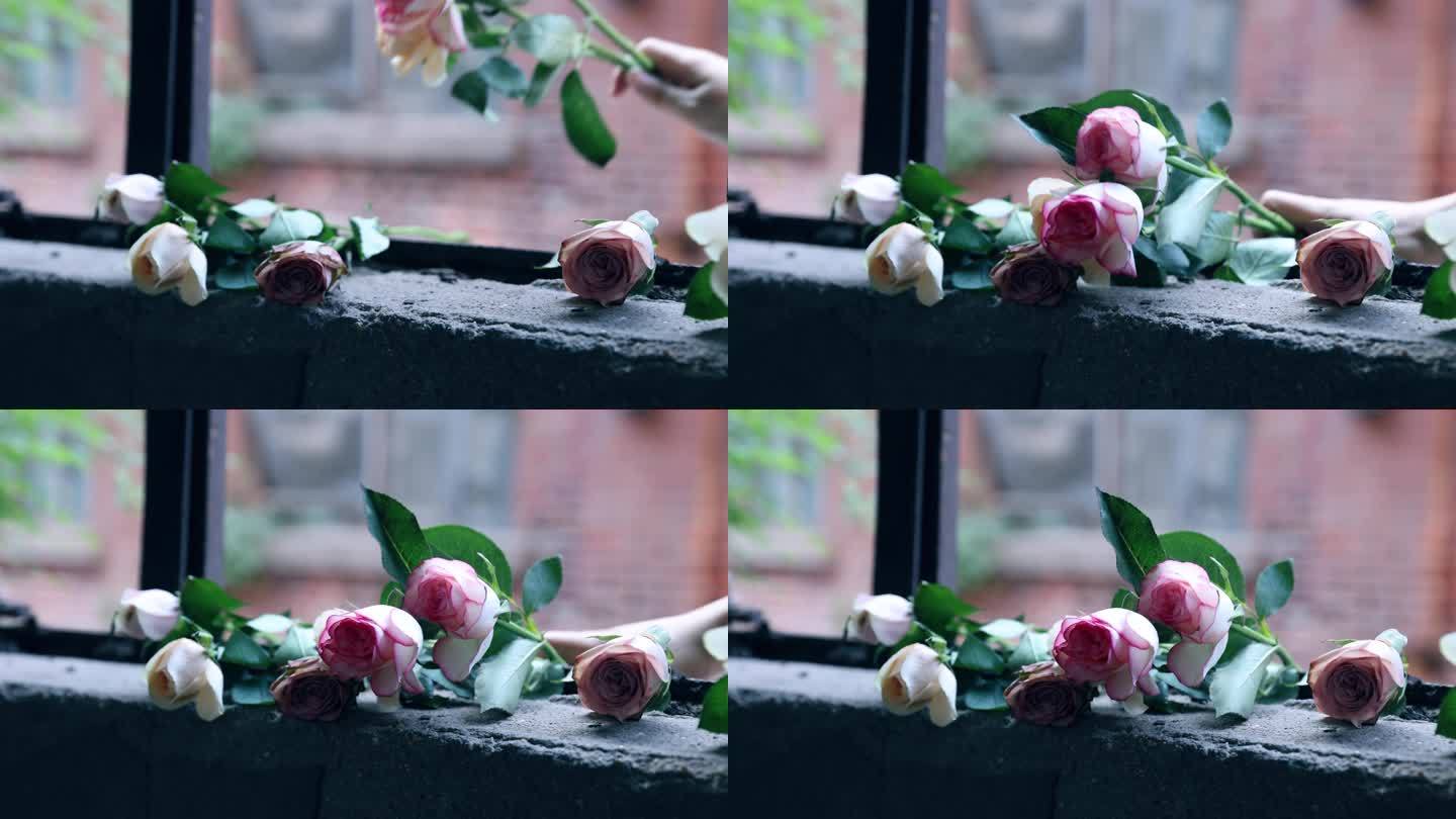 破窗上的玫瑰花破旧窗户送上放置玫瑰花鲜花