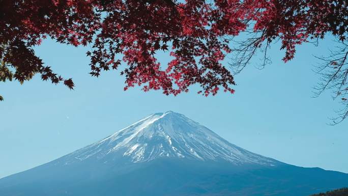 日本川口湖秋景中的红枫富士山