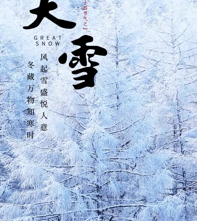 24节气之大雪地产15秒价值点推广小视频