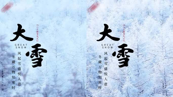 24节气之大雪地产15秒价值点推广小视频