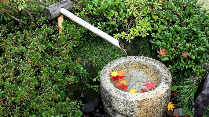 日本竹子喷泉。日本竹子喷泉枫叶意境小景