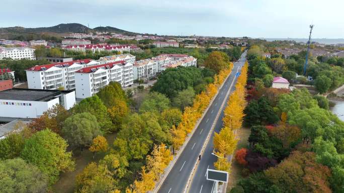 秦皇岛 北戴河 秋景 河流入海 海滨城市