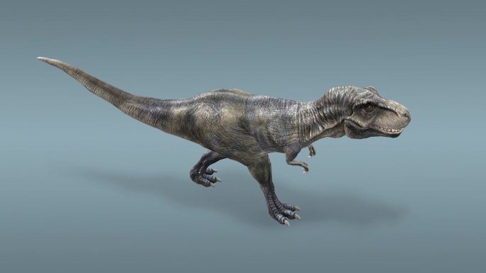 恐龙 霸王龙 侏罗纪 白垩纪 骨架骨骼