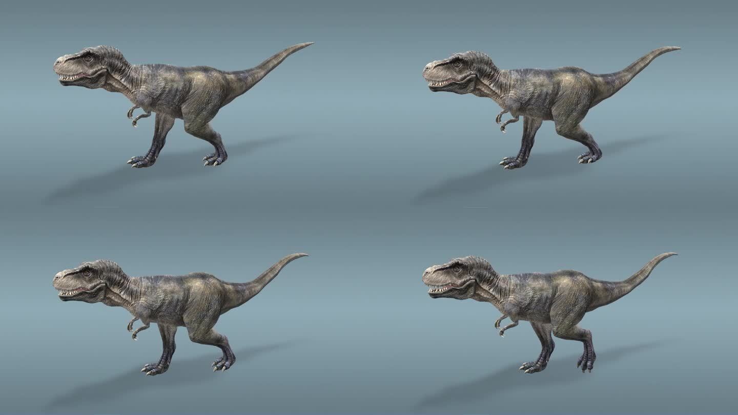 霸王龙 食肉恐龙 恐龙 骨骼 三维动画