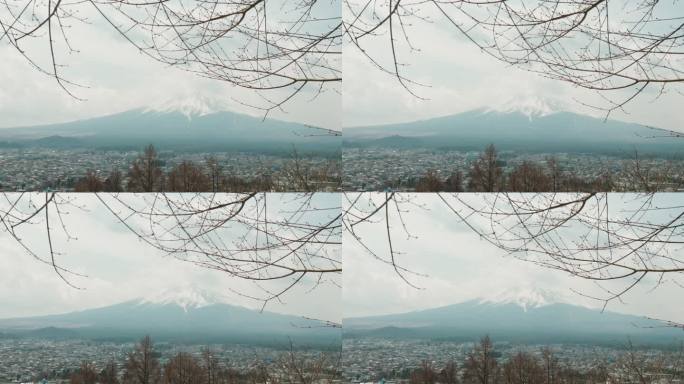 富士山在国家公园。