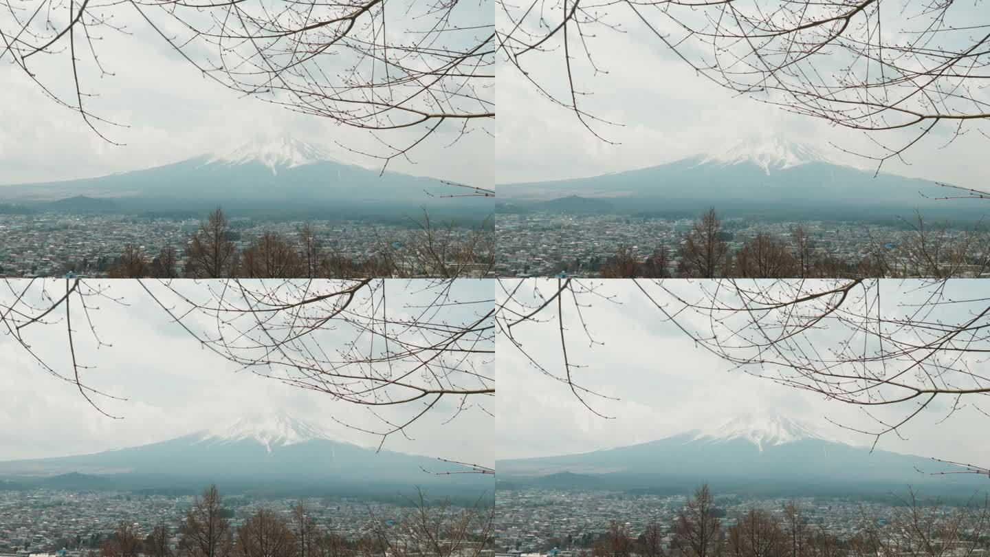 富士山在国家公园。