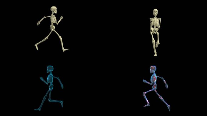 人体骨骼跑步医疗动画骷髅头鬼节万圣节视频