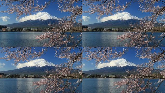 富士山活火山冰冷海拔