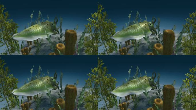 3D动物动画 乌贼 墨鱼 乌贼海底伪装