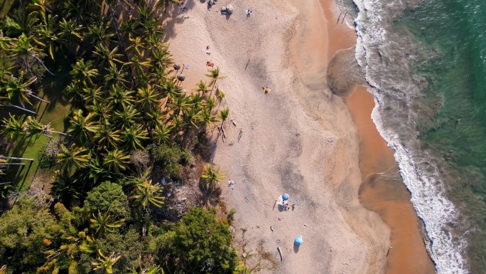 纳亚里特圣潘乔俯瞰海边沙滩碧海蓝天椰林树