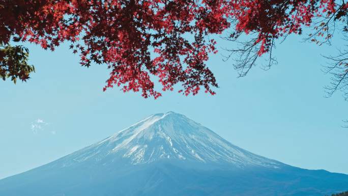 日本川口湖秋景中的红枫富士山