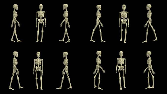 人体骨骼行走动画骨架健康科学医学视频素材