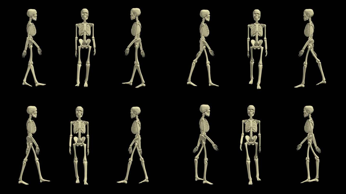 人体骨骼行走动画骨架健康科学医学视频素材