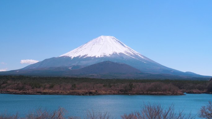 从Shoji湖观看富士山