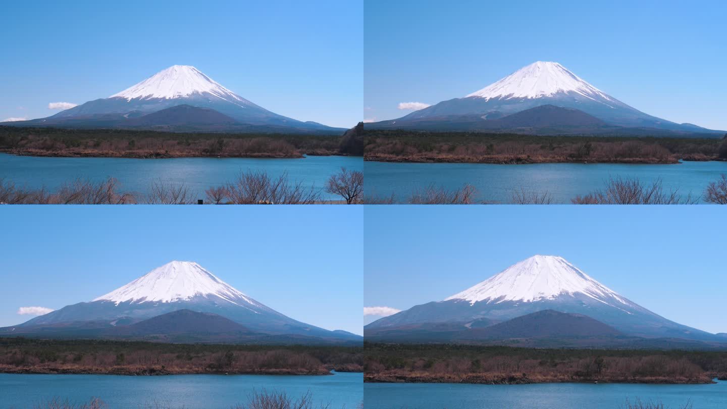 从Shoji湖观看富士山
