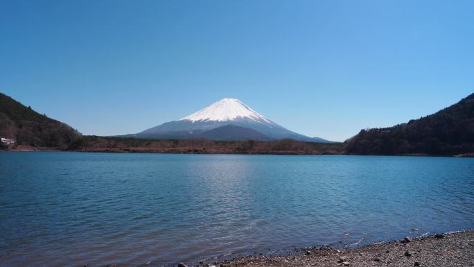 从Shoji湖观赏富士山