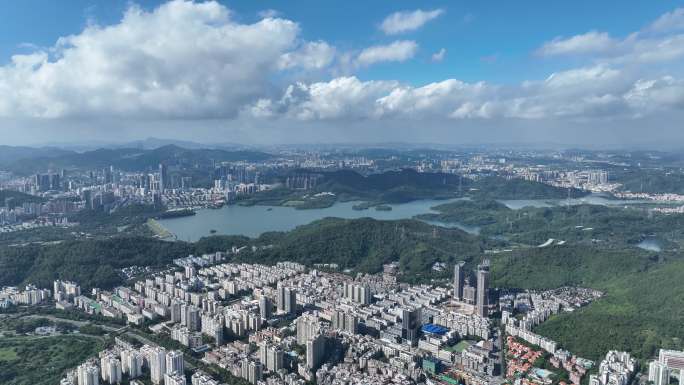 深圳 福田 罗湖 南山 后海 深圳湾超总