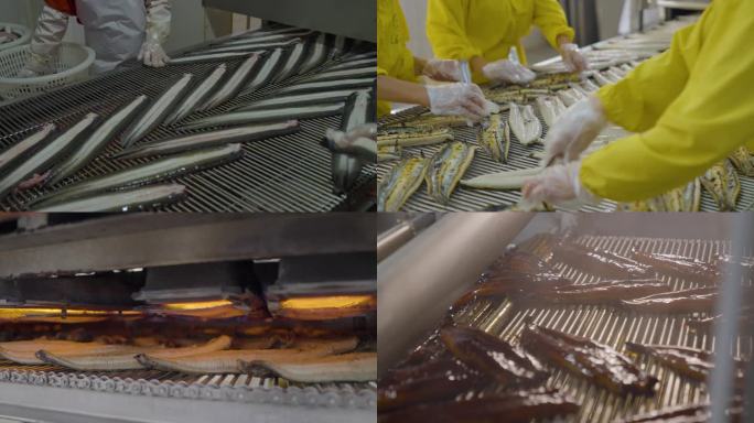 鳗鱼生产线、烤鳗鱼、调味、慢动作、冲洗