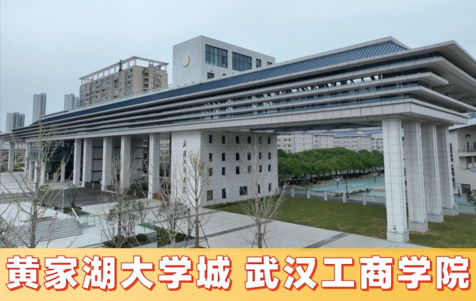 武汉工商学院