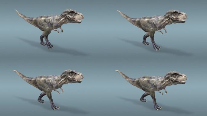 恐龙 霸王龙 骨架 考古 史前时代动画