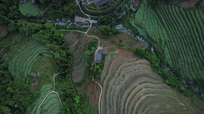 汉阴凤堰古梯田4k-25